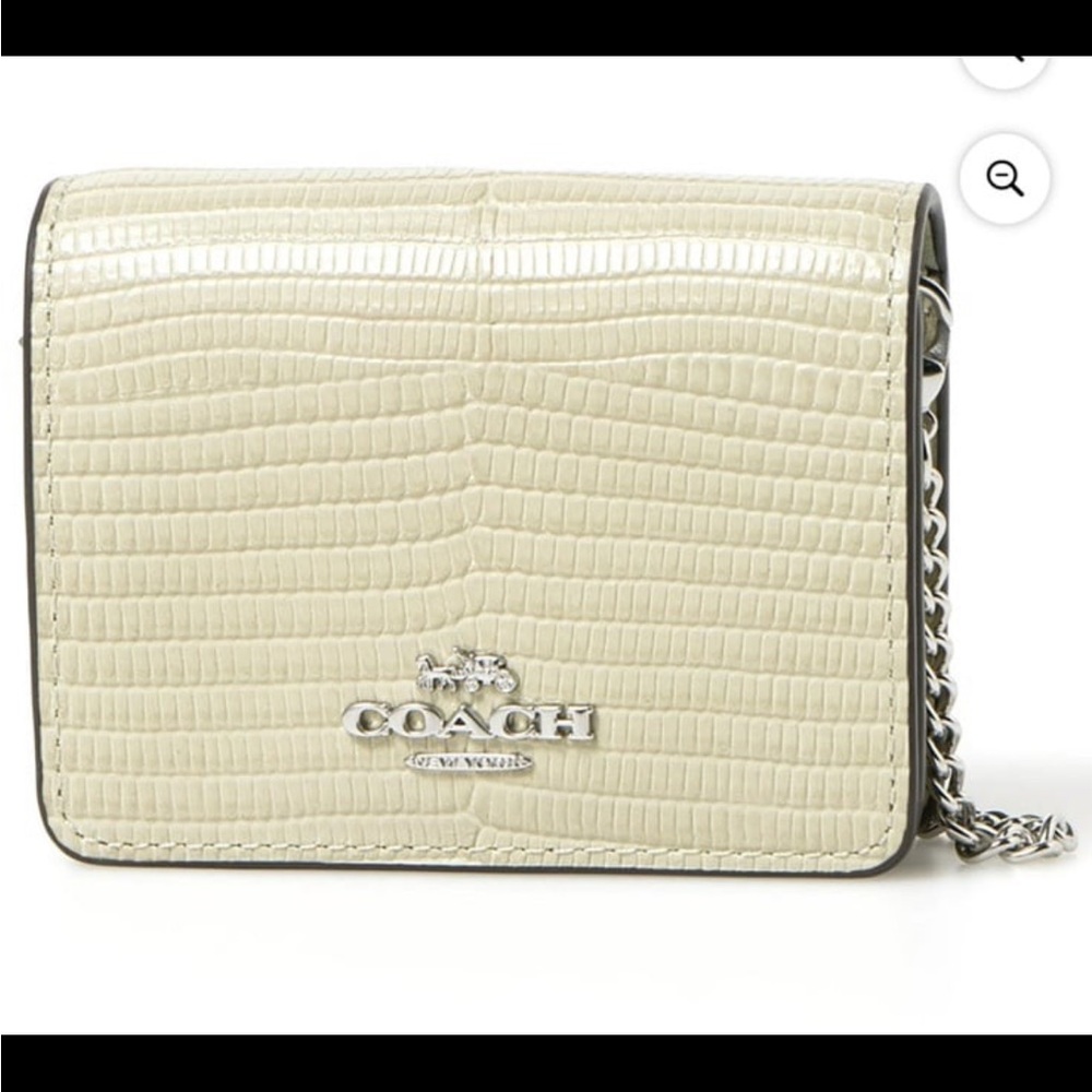 Coach Mini Wallet on a Chain SV/Pale Green